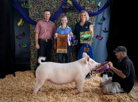 Swine Show 25