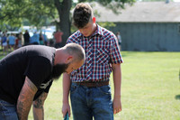 Dog Show 25