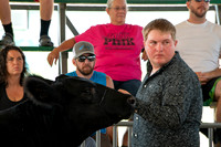 Beef show 25