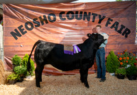 Neosho County Winners 2026