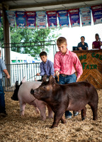 Hog Show 26