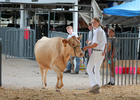 Dairy Show