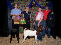 Goat Show 25